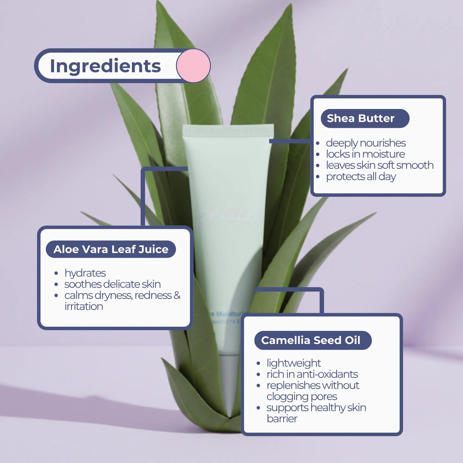 My First Skincare Routine | Confetti Collection tube surrounded by green leaves with ingredient highlights including shea butter, aloe vera leaf juice, and camellia seed oil, Australian made, natural, designed for 7 to 14 year old skin, Good Skin Habits Start Early.