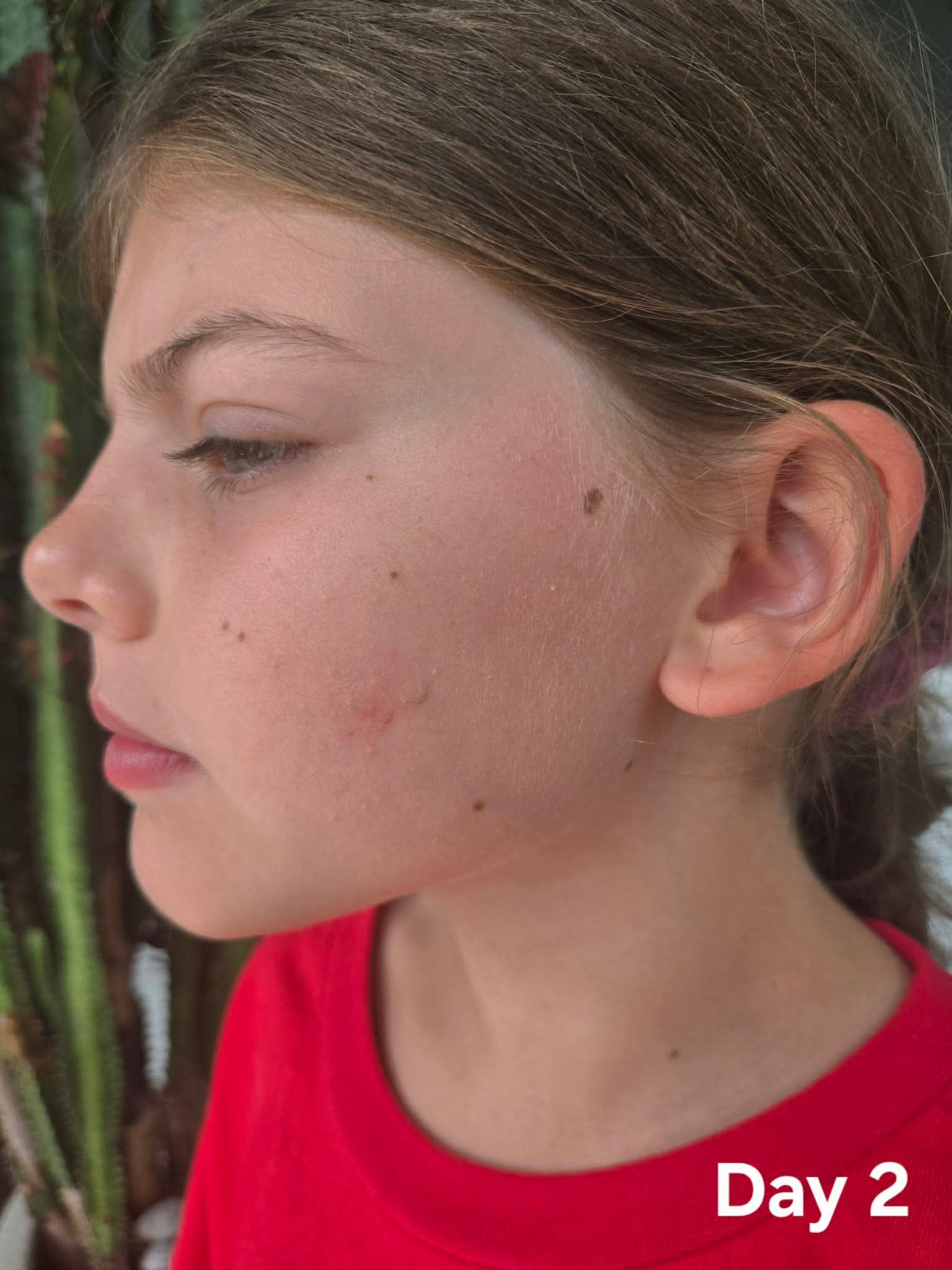 Daily Defence Skincare Kit