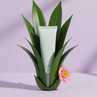 Tube of Daily Duo Kit | Crosses Collection standing upright, surrounded by green aloe leaves and a pink flower, representing Australian made, natural skincare for 7 to 14 year olds.