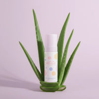 Daily Defence Skincare Kit featuring gentle Face Cleansing Foam next to fresh aloe vera leaves, Australian made natural skincare for 7 to 14 year olds, good skin habits start early.