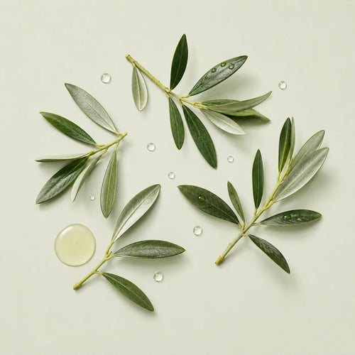 Olive Leaf Extract