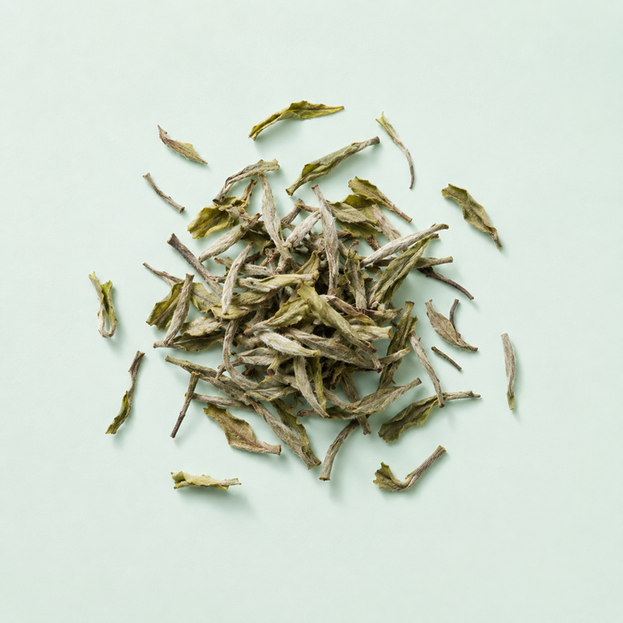 White Tea Extract